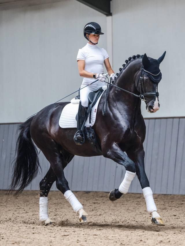 Lemieux Cotton Dressage Square White