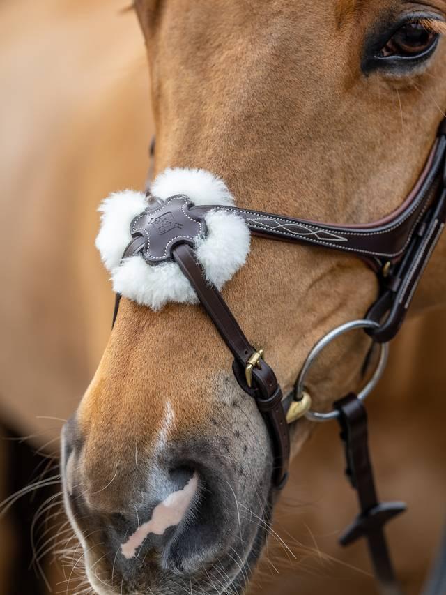 Lemieux Kudos Grackle Bridle Havana