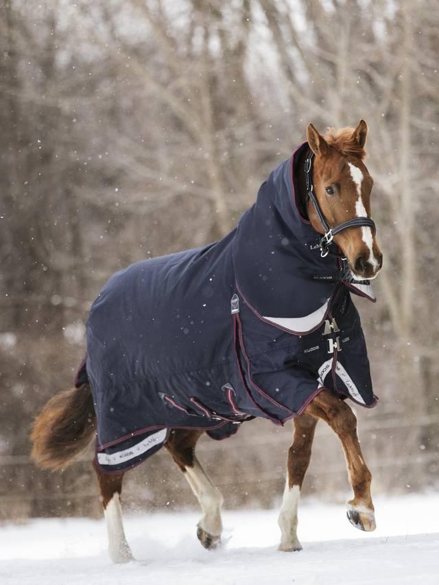 Lemieux Kudos Turnout Blanket 350g Navy