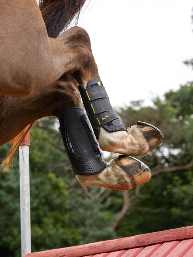 Lemieux MIMsafe XC Boot Hind Black