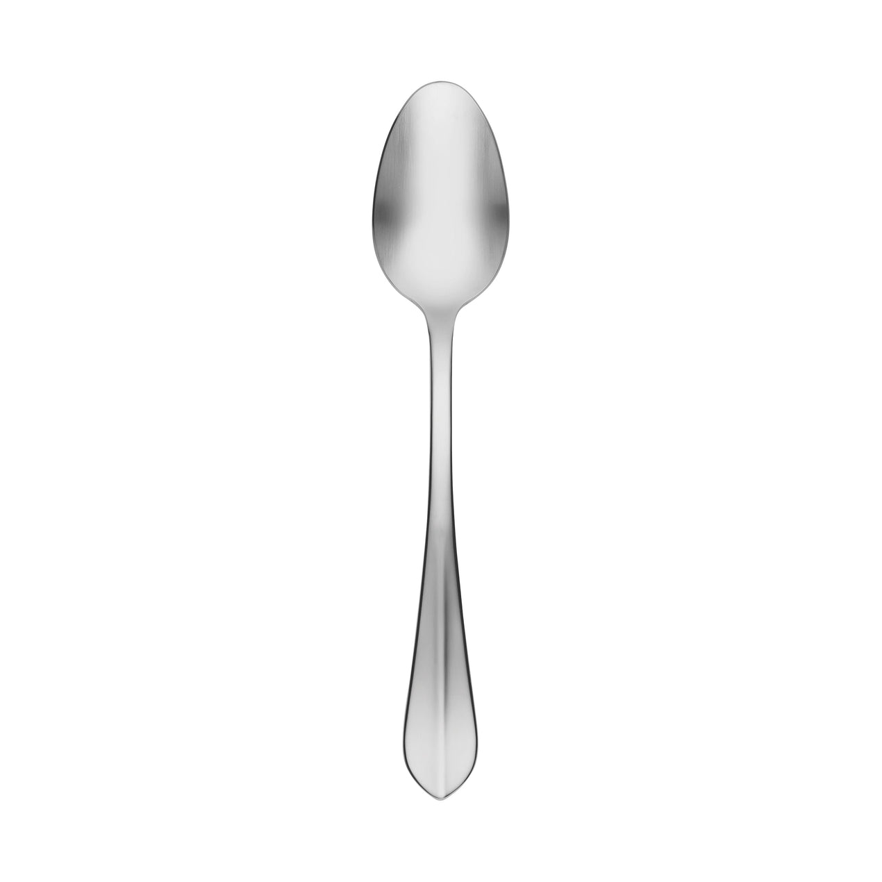 lenox Greenpond Satin Dinner Spoon