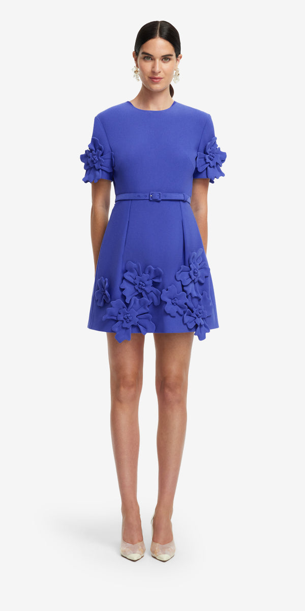 Leo Lin Aurelie Floral Appliqué Short Sleeve Mini Dress