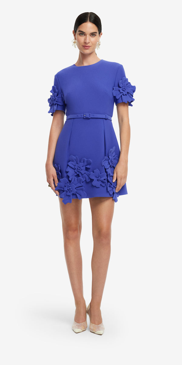 Leo Lin Aurelie Floral Appliqué Short Sleeve Mini Dress