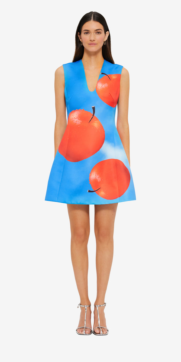 Leo Lin Briana V Neck Mini Dress