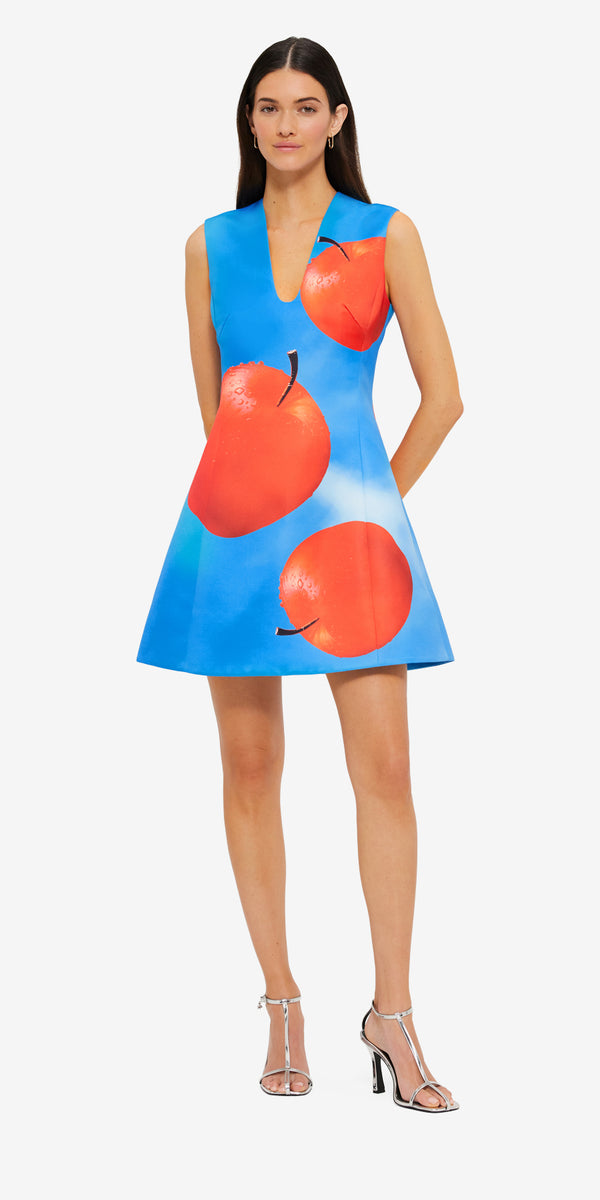 Leo Lin Briana V Neck Mini Dress