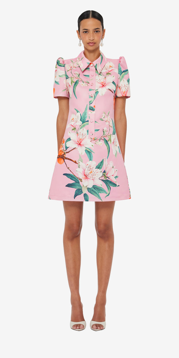 Leo Lin Brooke Mini Dress