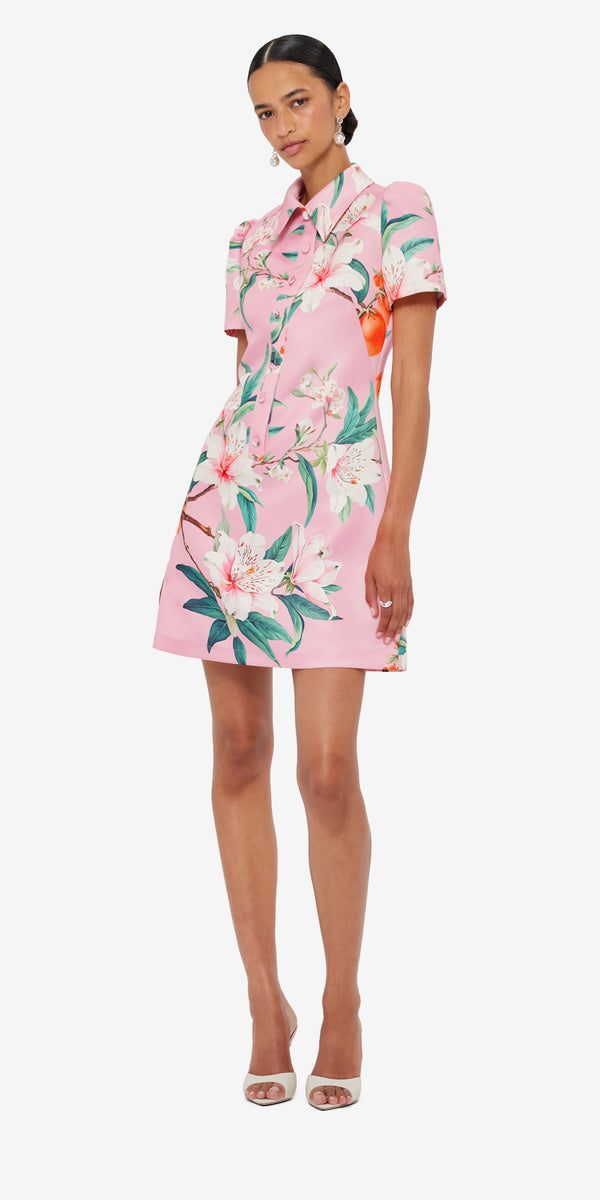 Leo Lin Brooke Mini Dress