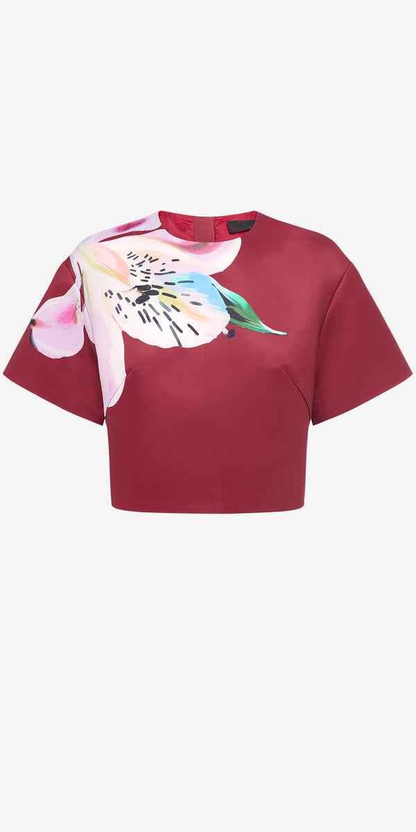 leo lin Indie Sleeve Top