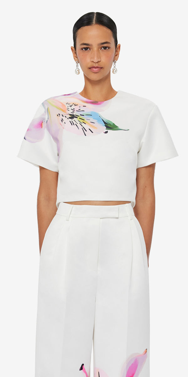 Leo Lin Indie Sleeve Top