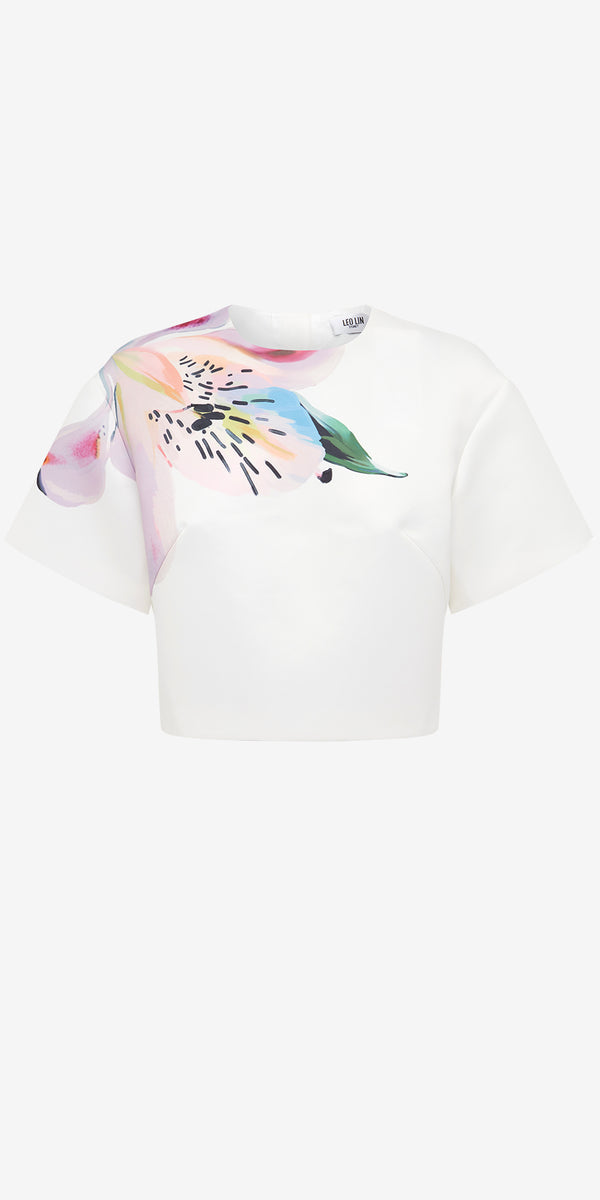 leo lin Indie Sleeve Top