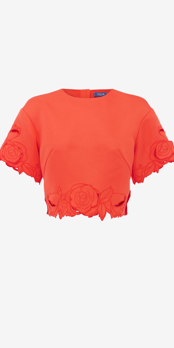 leo lin Indie Sleeve Top