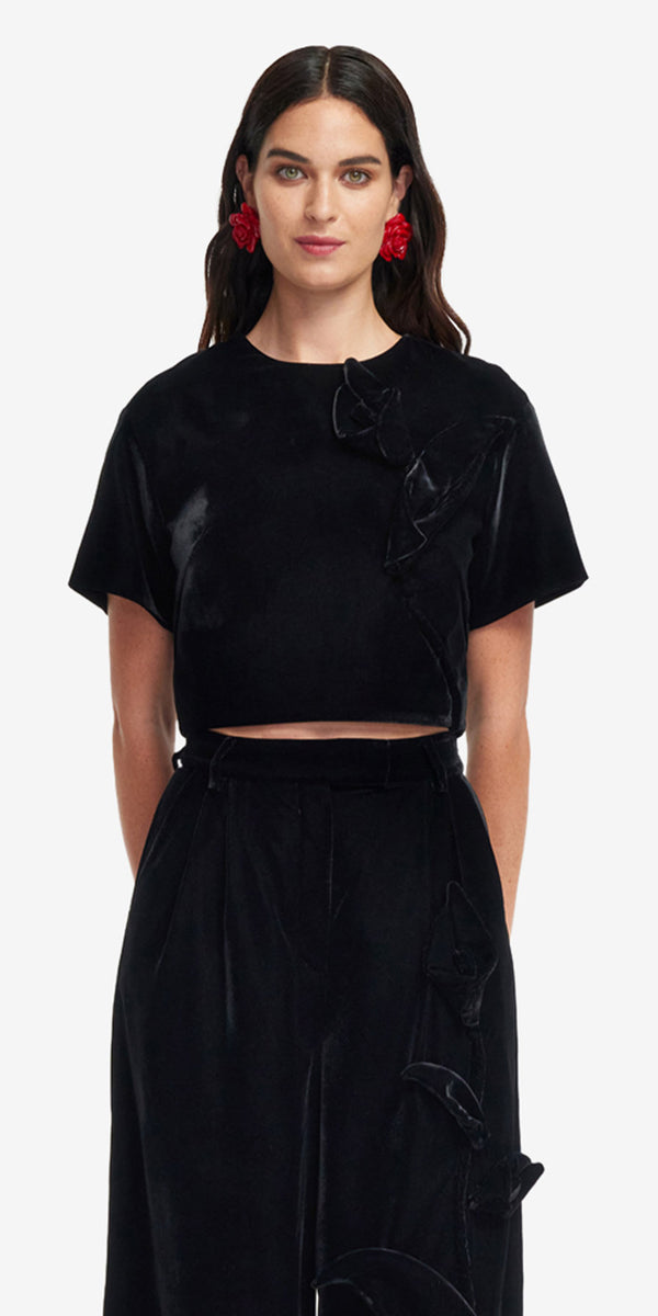 Leo Lin Indie Velvet Sleeve Top