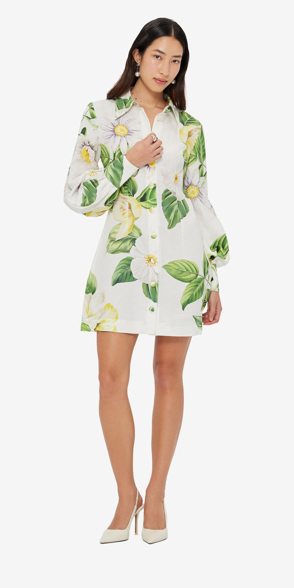 Leo Lin Luminous Linen Mini Dress