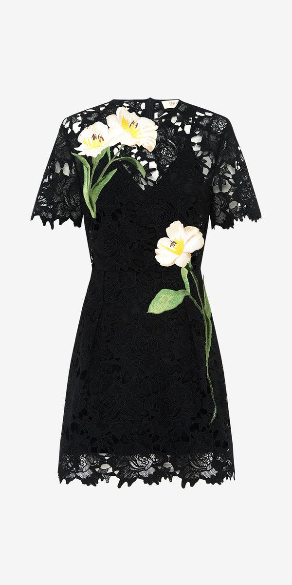 leo lin Margot Embroidered Lace Mini Dress