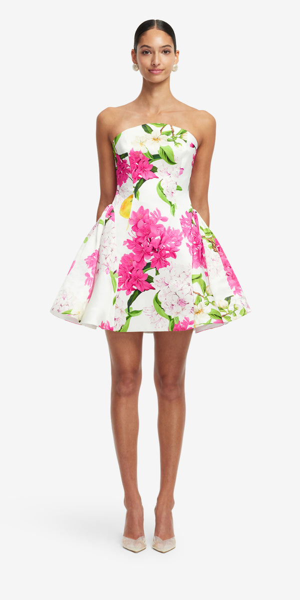 Leo Lin Reese Bustier Mini Dress