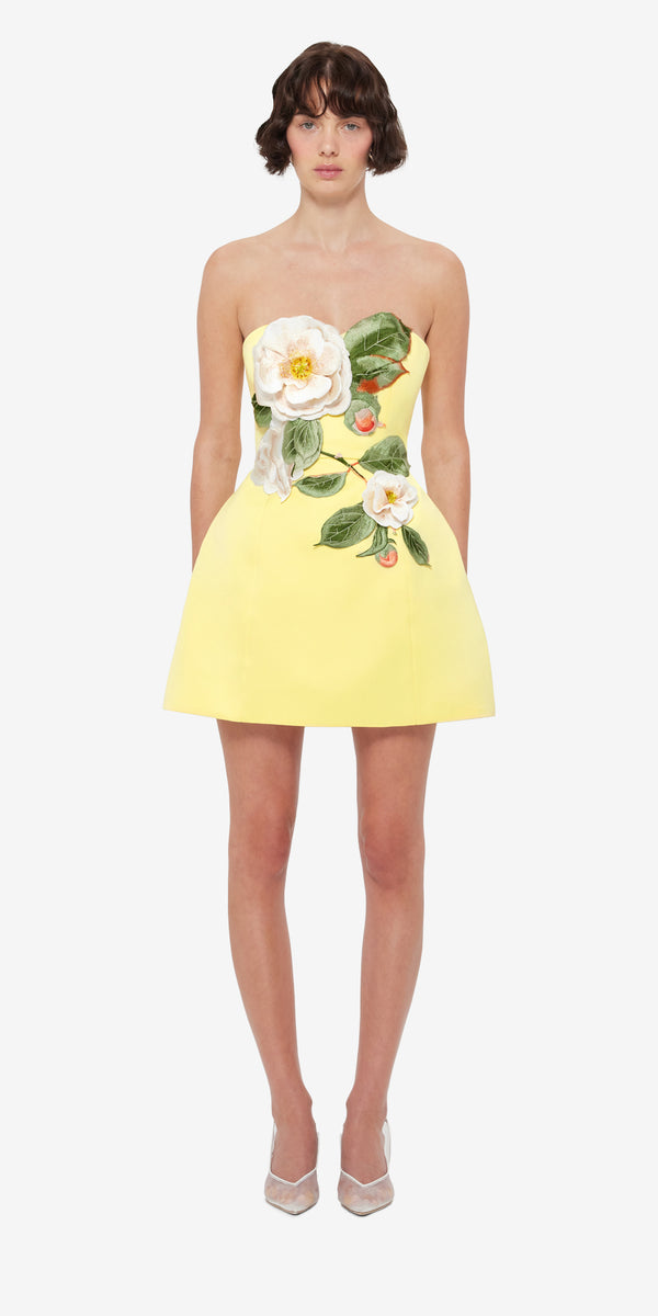Leo Lin Rosario Appliqué Floral Bustier Mini Dress