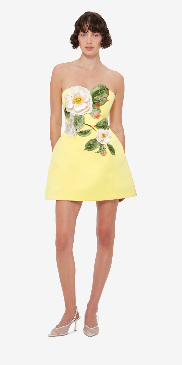Leo Lin Rosario Appliqué Floral Bustier Mini Dress