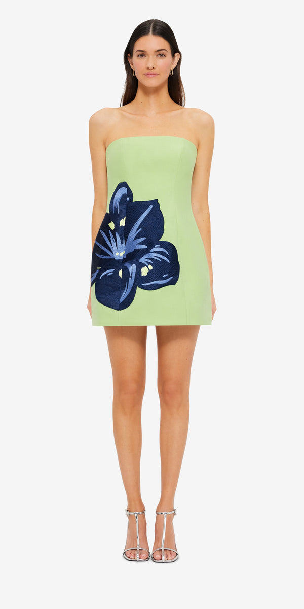 Leo Lin Roselle Embroidered Bustier Mini Dress