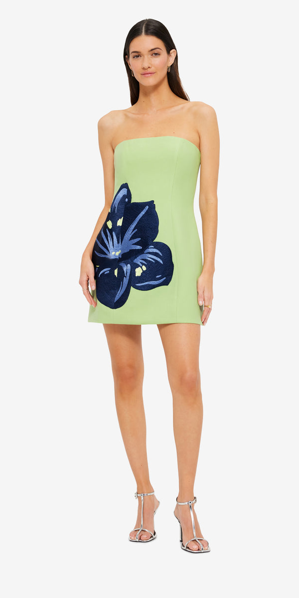 Leo Lin Roselle Embroidered Bustier Mini Dress