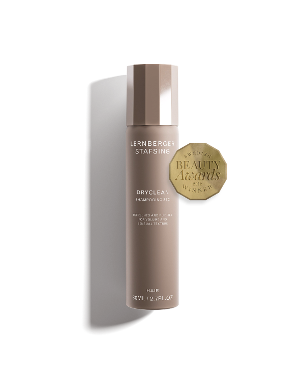 lernberger stafsing DRYCLEAN