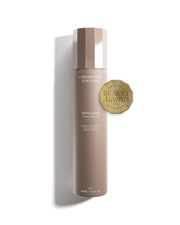 lernberger stafsing DRYCLEAN