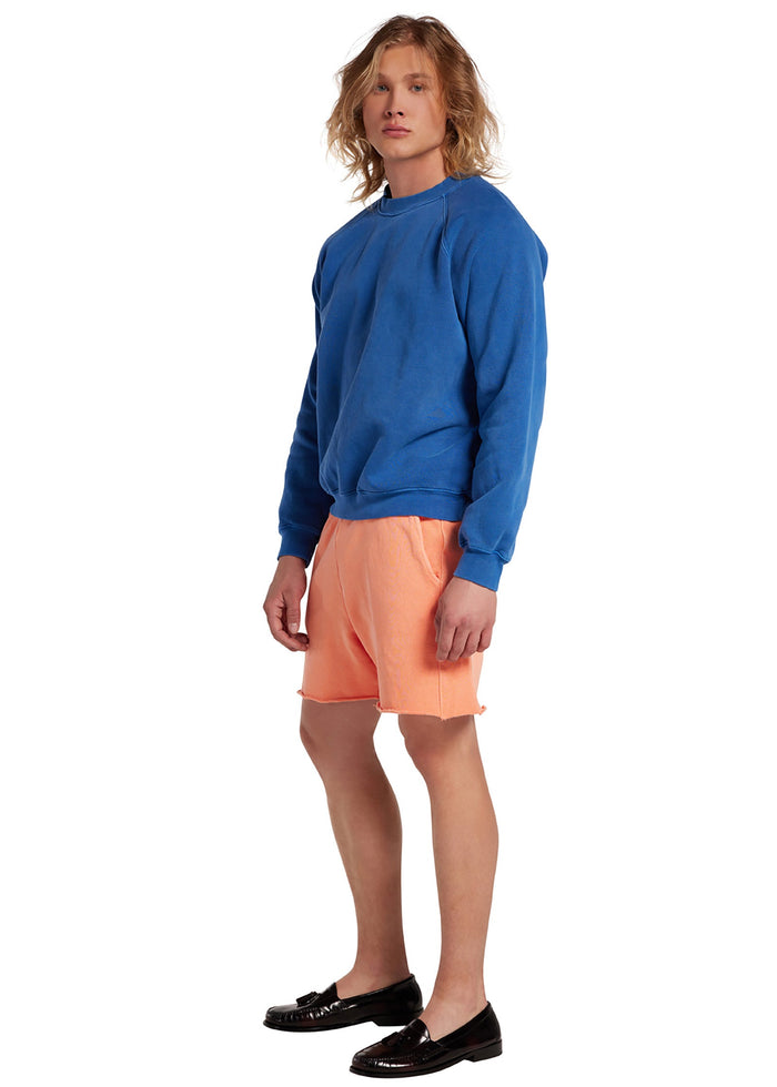 Les Tien Heavyweight Classic Raglan