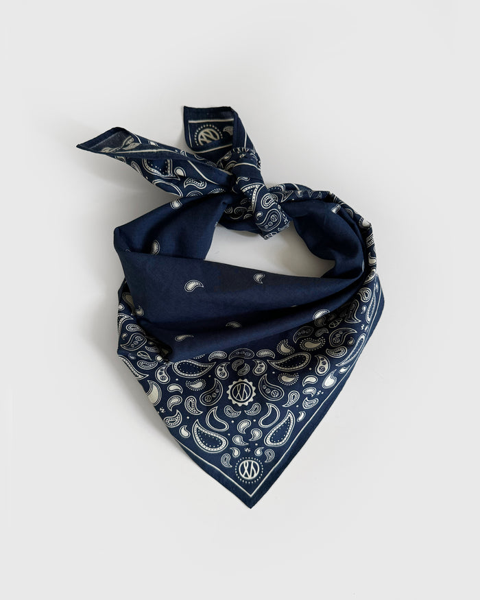 lescarf COTTON PAISLEYVY | 55CM