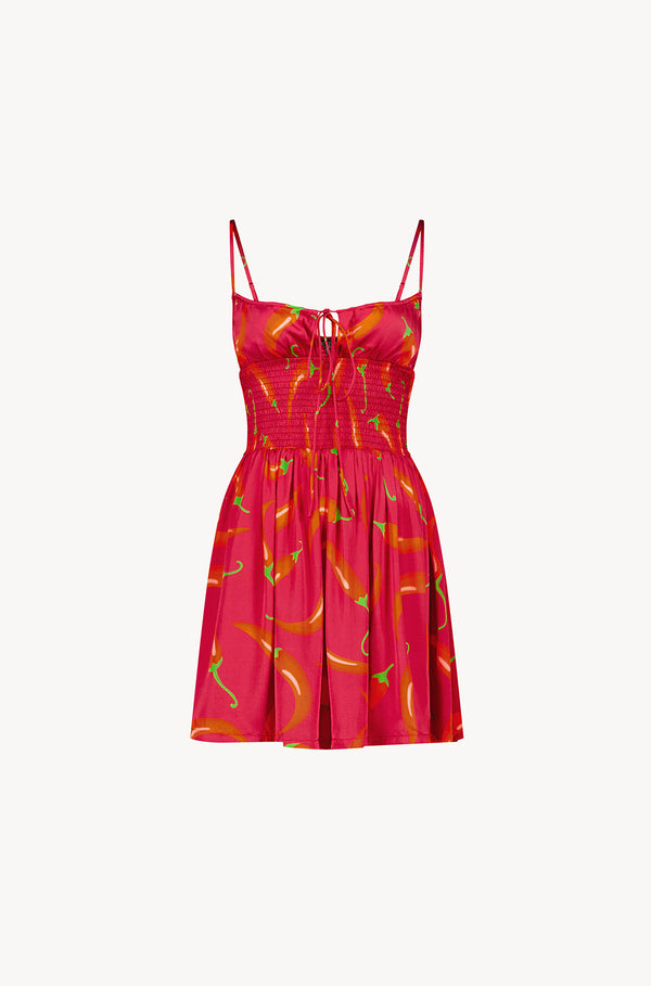 Leslie Amon Slip Mini Corset Dress