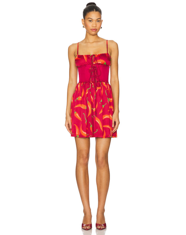 Leslie Amon Slip Mini Corset Dress