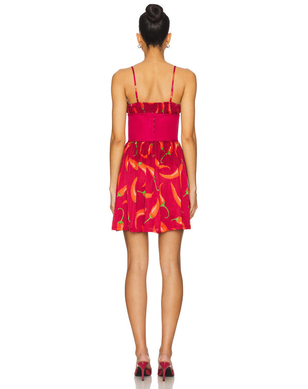 Leslie Amon Slip Mini Corset Dress