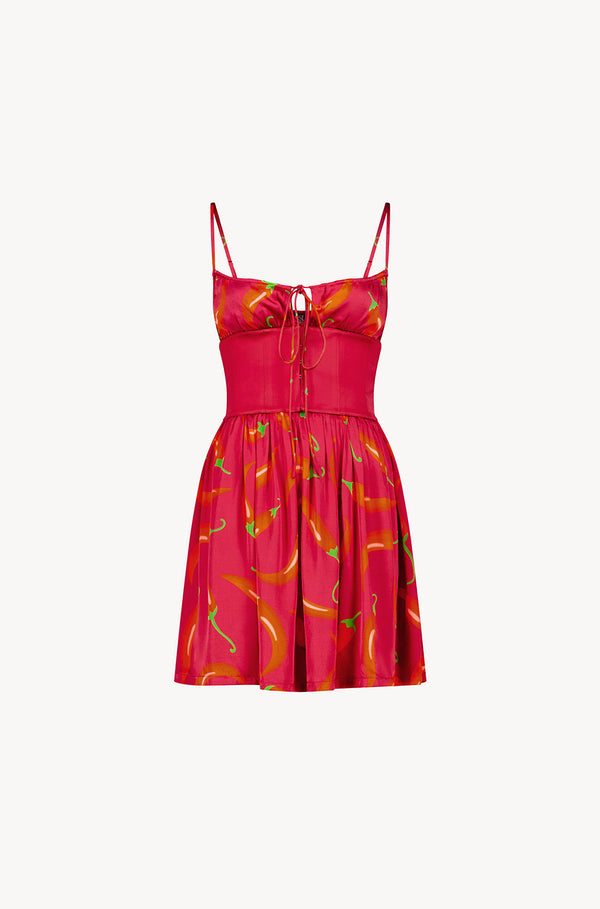 leslie amon Slip Mini Corset Dress