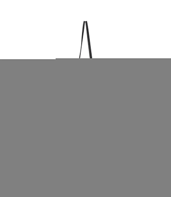 Lesportsac Vertical City Tote