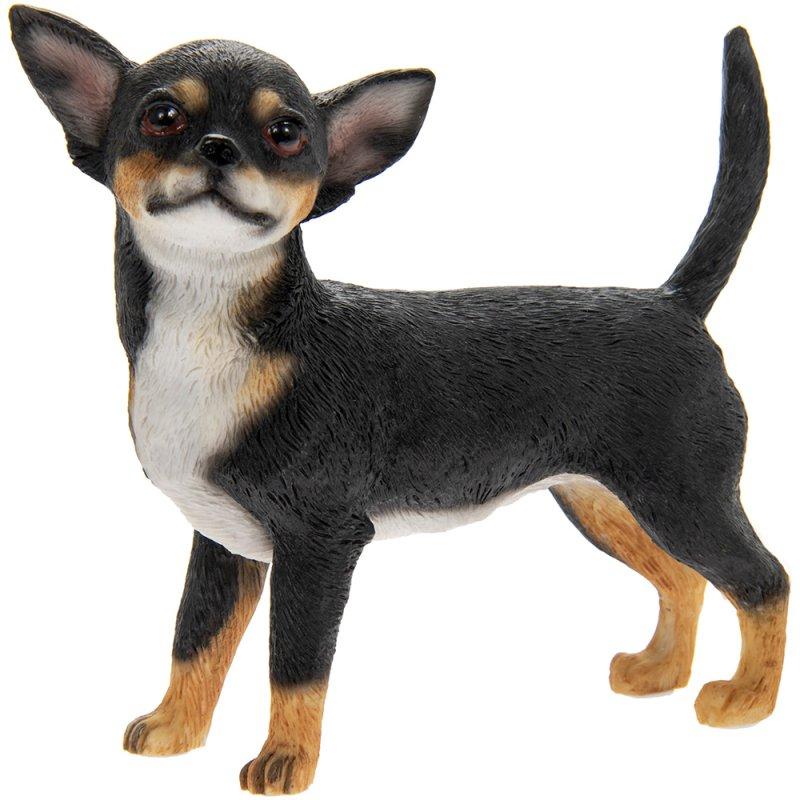 lesser & pavey CHIHUAHUA LP41668