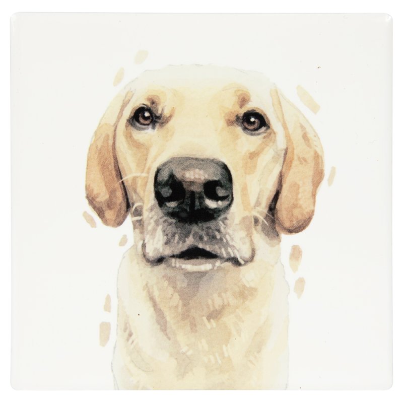 Lesser & Pavey GOLDEN LABRADOR COASTER LP34274