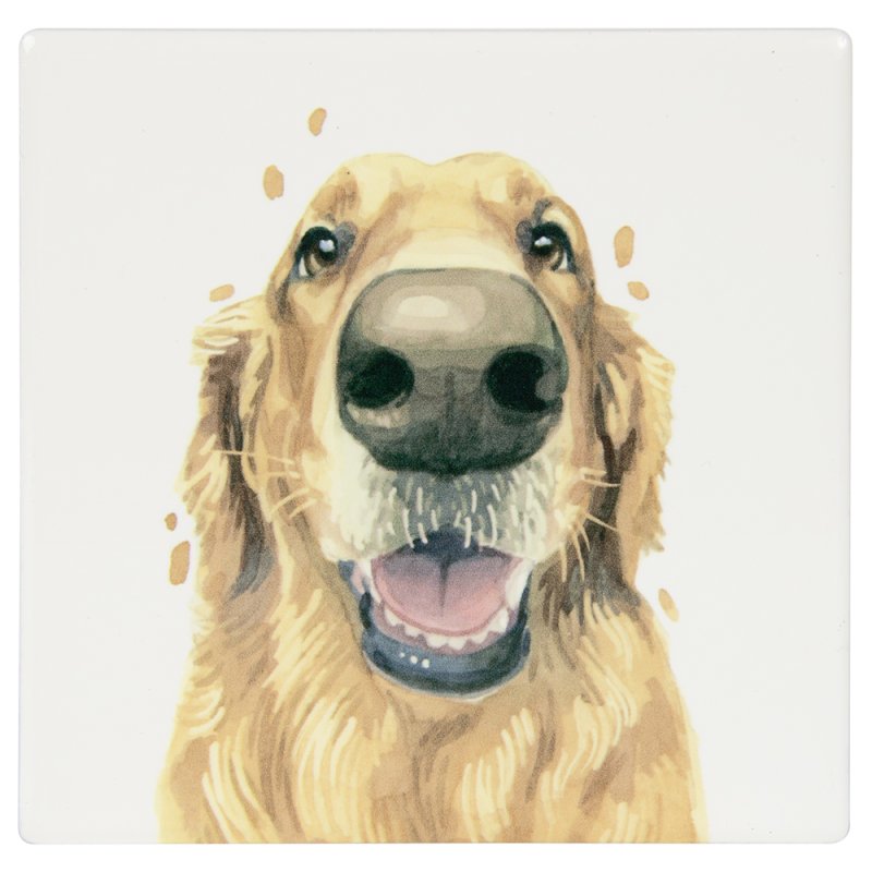 Lesser & Pavey GOLDEN RETREIVER COASTER LP34276