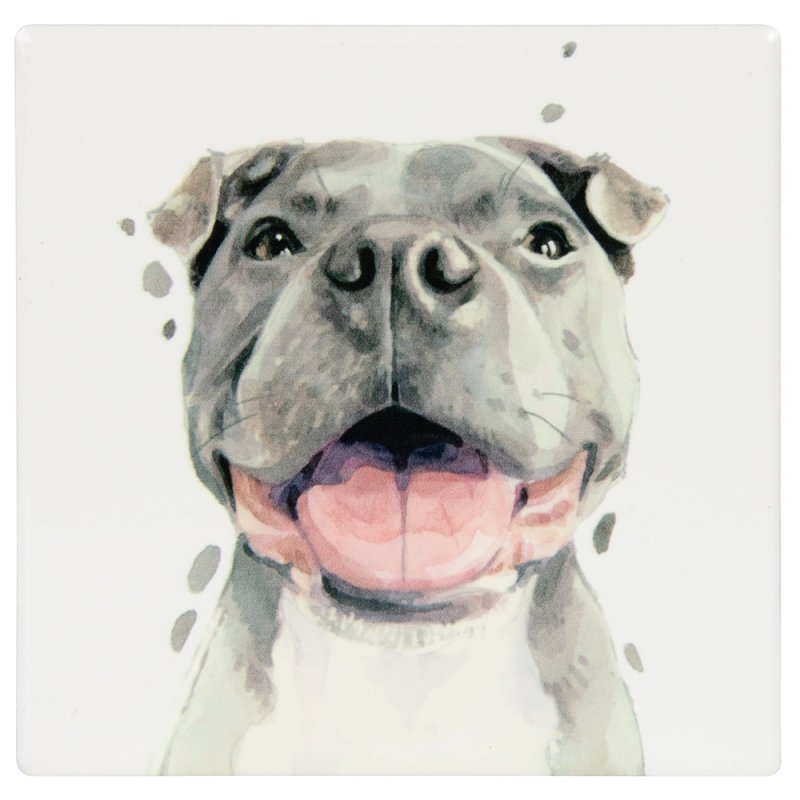 Lesser & Pavey STAFFIE COASTER LP34278