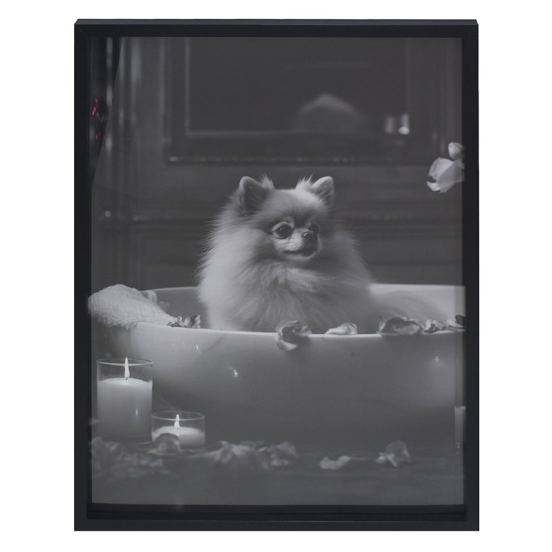 Lesser & Pavey WALL ART- POMERANIAN 45X60 CM LP76128