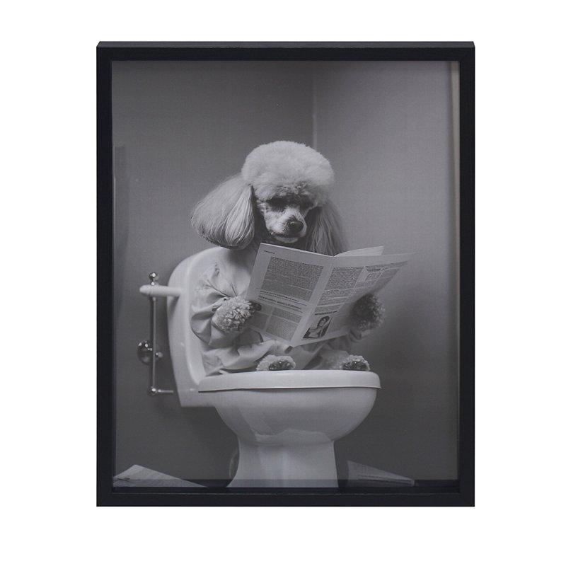 Lesser & Pavey WALL ART- POODLE 30X40 CM LP76118