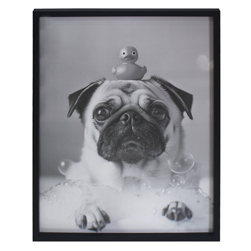 Lesser & Pavey WALL ART- PUG 45X60 CM LP76127