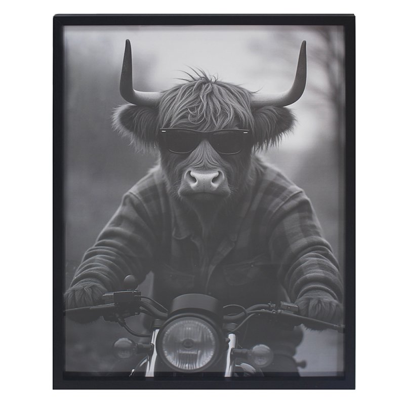 Lesser & Pavey WALL ART HIGHLAND COW ON MBIKE45X60 CM LP76124