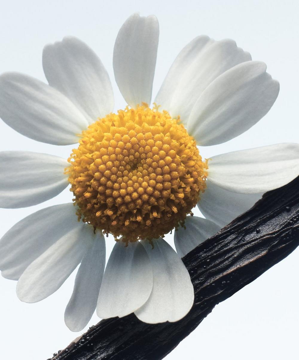 liberty london Dries Van Noten Camomille Satin Eau de Parfum 100ml