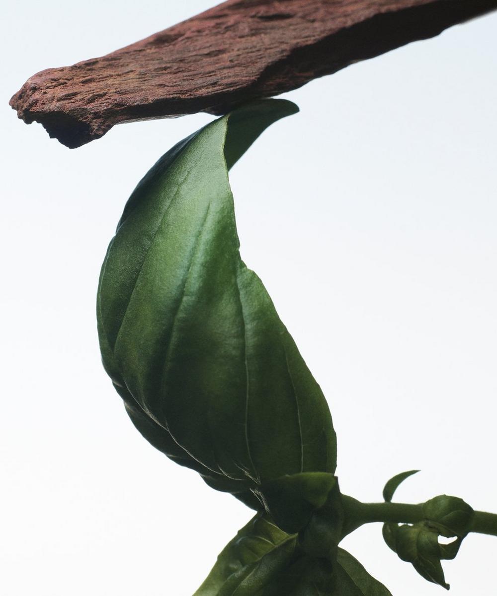 liberty london Dries Van Noten Crazy Basil Eau de Parfum 100ml