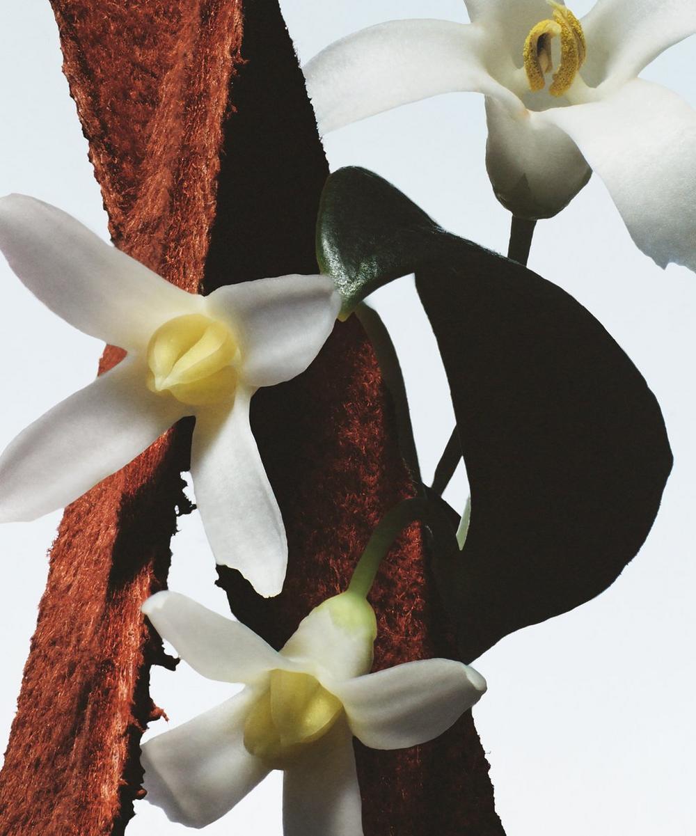 liberty london Dries Van Noten Fleur du Mal Eau de Parfum 100ml