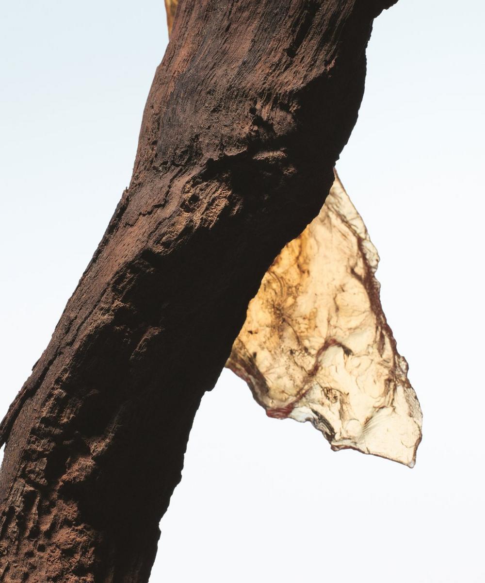 liberty london Dries Van Noten Rock The Myrrh Eau de Parfum 100ml