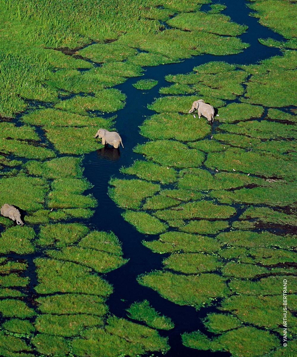 Liberty London Guerlain Aqua Allegoria Nettare Di Sole Eau De Toilette 125ml