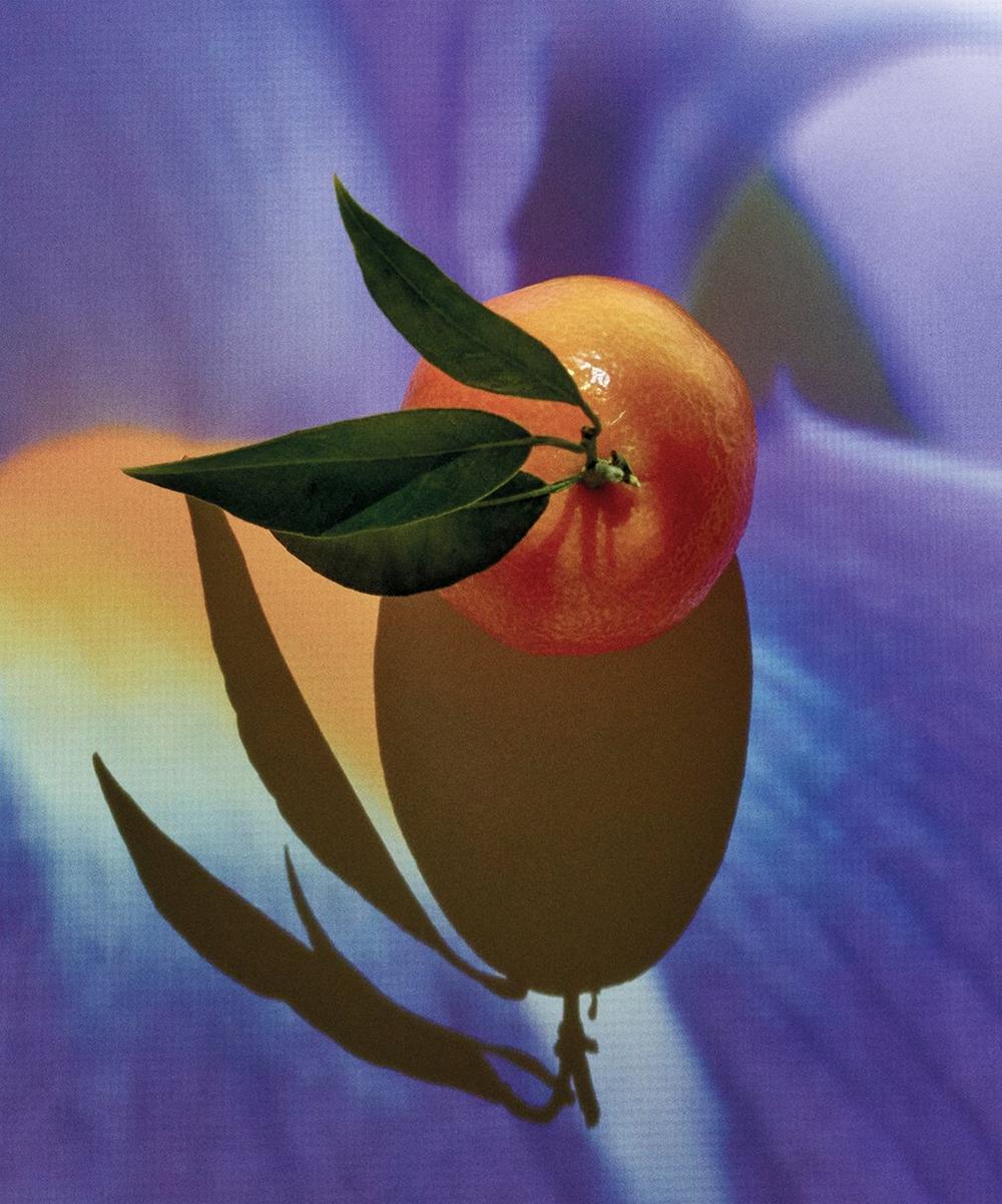 Liberty London Loewe Solo Elixir Eau De Parfum 50ml