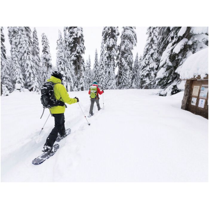 Liberty Mountain DYNALOCK TRAIL TREKKING POLES