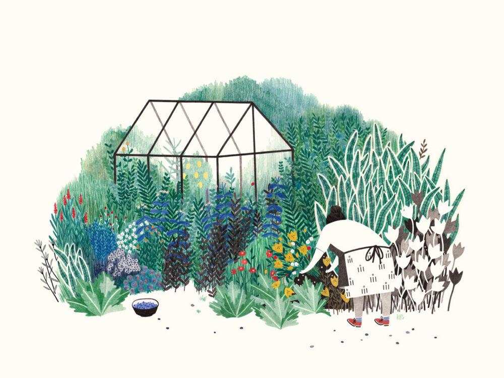 liekeland Bloemenstruik