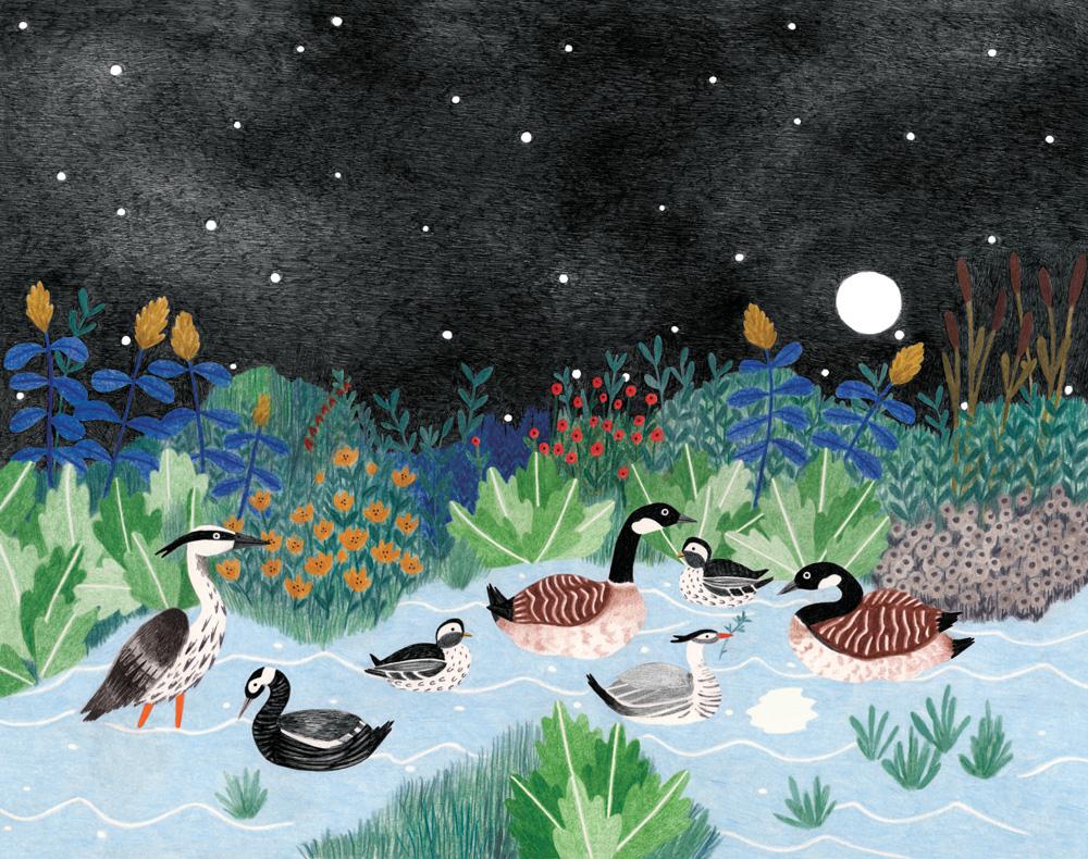 liekeland Eendenmeer