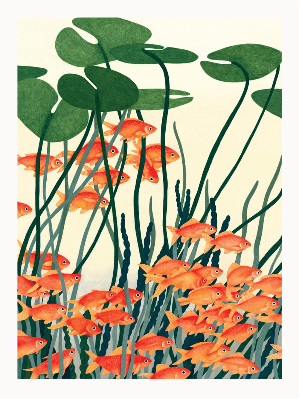 liekeland Gouden vissen